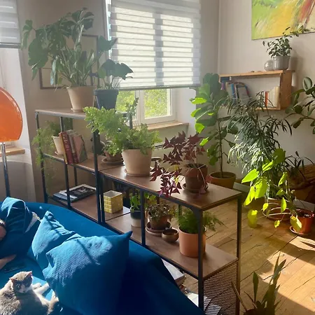 Beautiful Canut Apartment, Croix-rousse Apartment Lyon