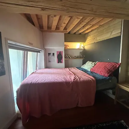 Appartement Beautiful Canut Apartment, Croix-rousse