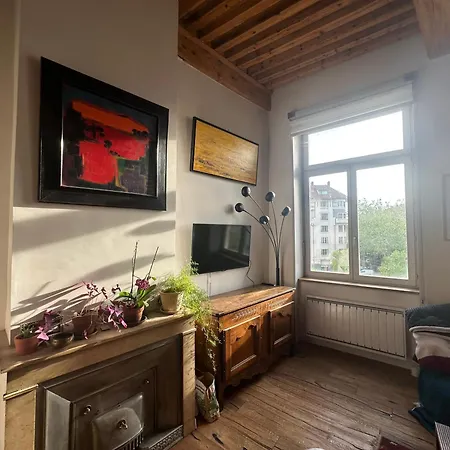 Beautiful Canut Apartment, Croix-rousse Appartement